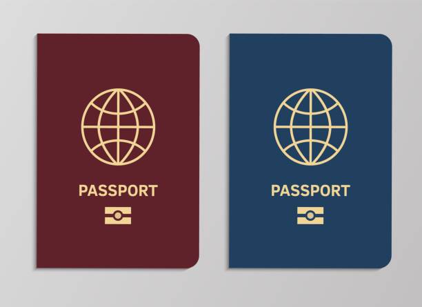 International biometric passport covers template. Blue and red international document. Vector realistic travel concept International biometric passport covers template. Blue and red international document with globe. Vector realistic travel concept tourist control for fly legal vacation blue us passport cover stock illustrations