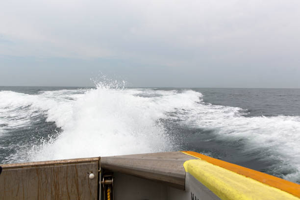 istock Sparkling sea water formed by a boat engine and sea surface 1186147453