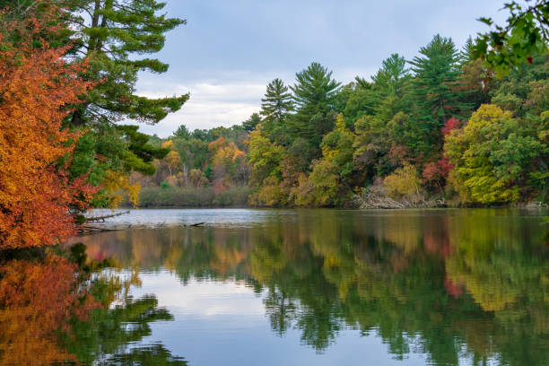 Autumn landscape - lake and fall colors stock photo