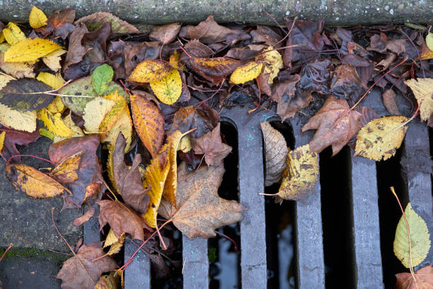 istock Autumn leaves background. Selective focus. Close up. 1186148842