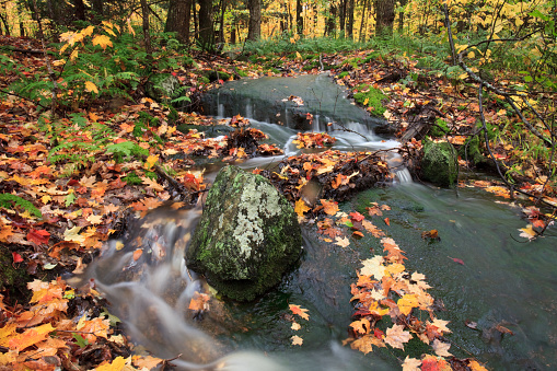 A small unnamed creek and waterfall in a remote forest in Ontario, Canada in the stunning fall season. Image taken near Algonquin Park.