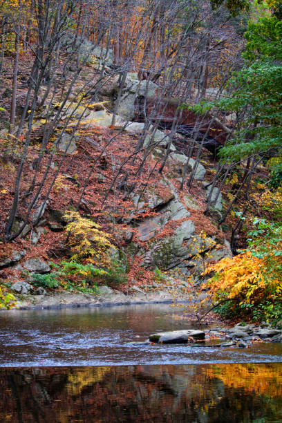 istock Autumn in Wissahickon Valley, Philadelphia 1186150163