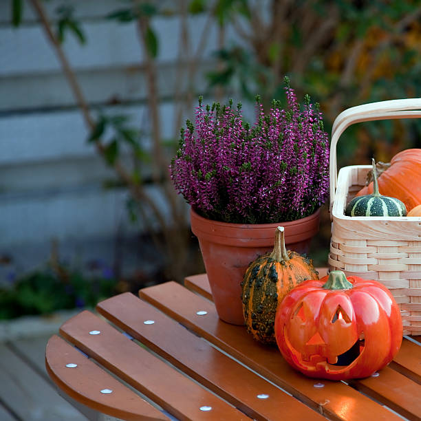 istock Autumn in the garden 118615296