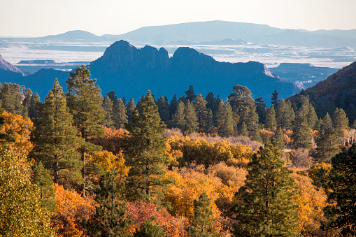 Fall colors have arrived at Zion National Park, Utah