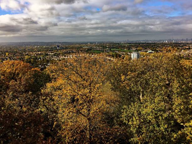 istock A panoramic view of London 1186156027