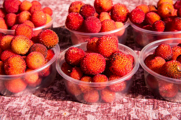 Close-up of fresh ripe arbutus fruits (Waxberries or Chinese Bayberry),Full frame and high resolution image