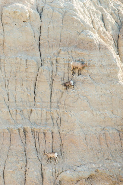 istock South Dakota Badlands 1186160531