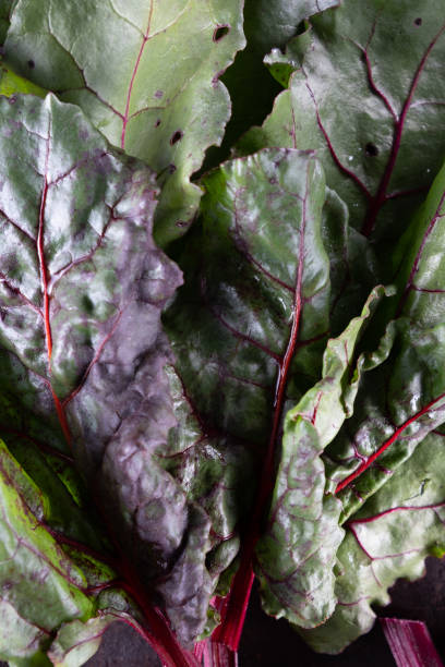istock ugly food. Beets and beet leaves on a rusty beautiful metal surface. 1186163372