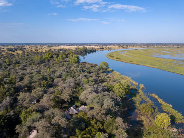 istock Okavango delta river in north Namibia, Africa 1186163940