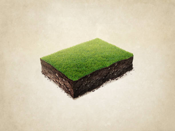 istock realistic 3D rendering soil ground cross section with earth land and green grass. Isolated illustration 1186164785