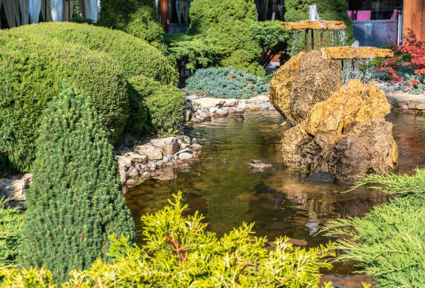 istock Beautiful landscape garden 1186164822