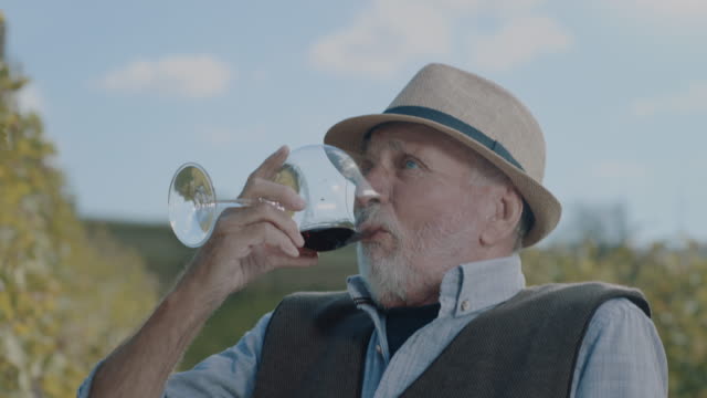Drunk senior men in vineyard