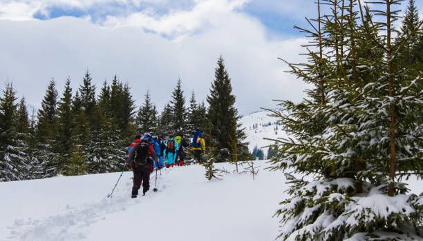 istock spring trekking in the mountains 1186165330