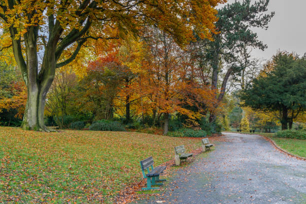 istock Autumn Color in Grove Park, Harborne, Birmingham 1186167586