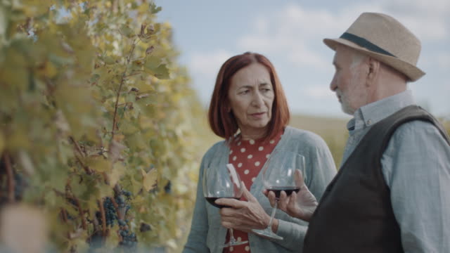 Senior couple talking at vineyard