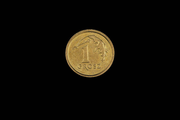istock An old Polish coin isolated on a black background 1186170200