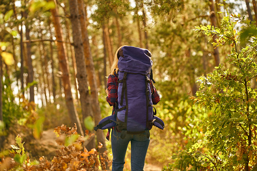 Young tourist with backpack walking in forest.