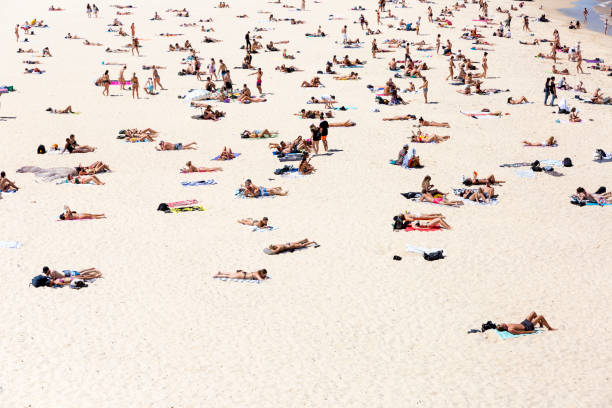 istock Hot summer day on the beach, background with copy space 1186171019