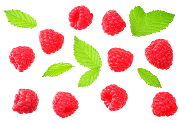 istock ripe raspberries with green leaves isolated on white background. top view 1186173664