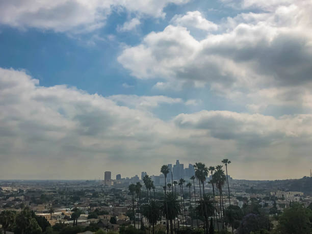 istock Downtown Los Angeles viewed from afar with palm trees and moody sky 1186177032