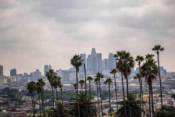 istock Downtown Los Angeles viewed from afar with palm trees and moody sky 1186177150