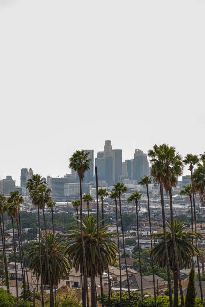 istock Downtown Los Angeles viewed from afar with palm trees and moody sky 1186177198
