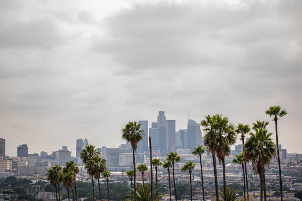 istock Downtown Los Angeles viewed from afar with palm trees and moody sky 1186177212
