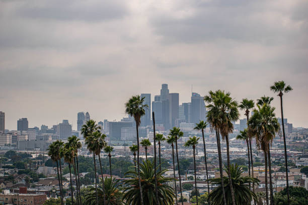 istock Downtown Los Angeles viewed from afar with palm trees and moody sky 1186177255