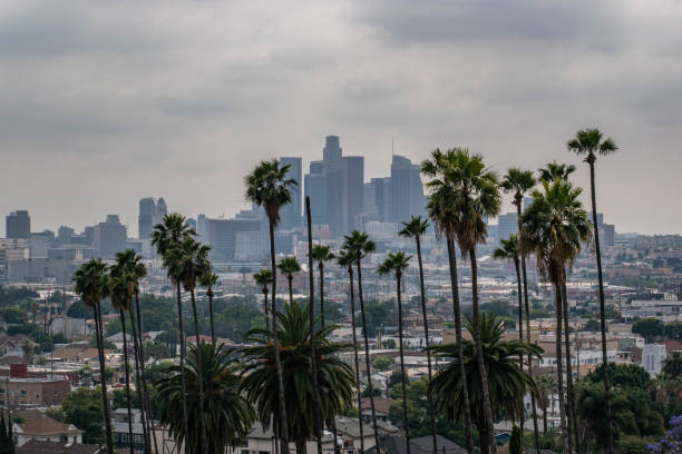istock Downtown Los Angeles viewed from afar with palm trees and moody sky 1186177292