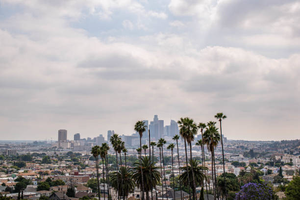 istock Downtown Los Angeles viewed from afar with palm trees and moody sky 1186177293