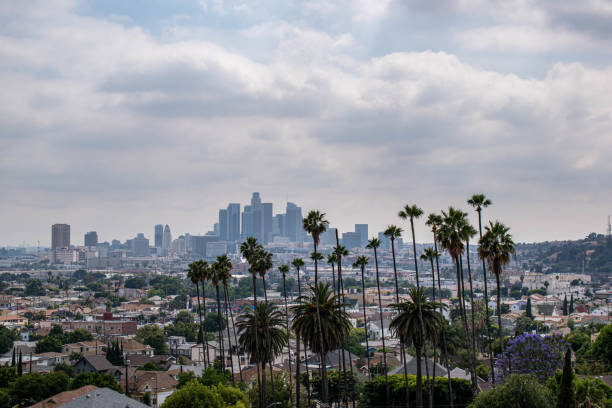 istock Downtown Los Angeles viewed from afar with palm trees and moody sky 1186177335