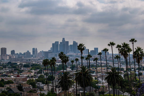 istock Downtown Los Angeles viewed from afar with palm trees and moody sky 1186177350