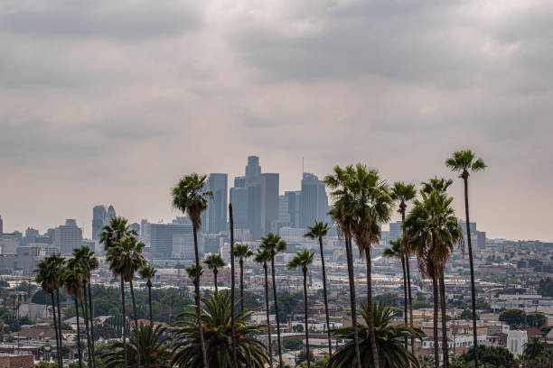istock Downtown Los Angeles viewed from afar with palm trees and moody sky 1186177392