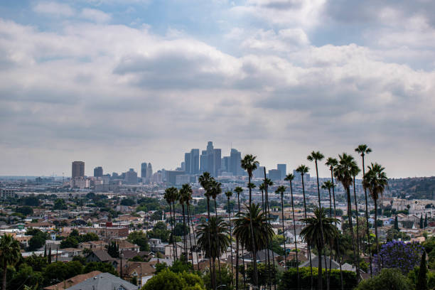 istock Downtown Los Angeles viewed from afar with palm trees and moody sky 1186177410