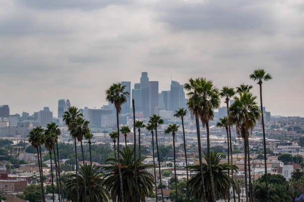 istock Downtown Los Angeles viewed from afar with palm trees and moody sky 1186177437