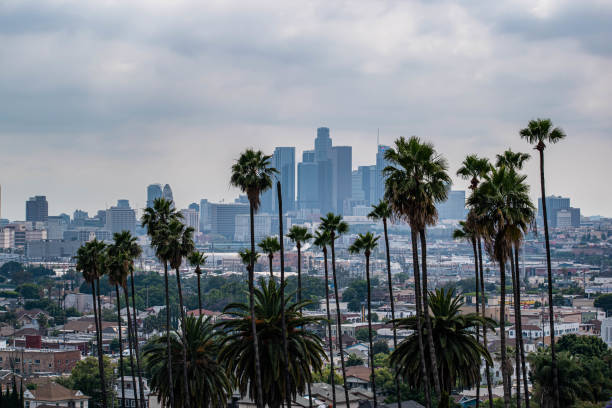 istock Downtown Los Angeles viewed from afar with palm trees and moody sky 1186177438
