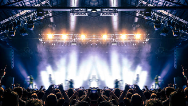 istock Music festival crowd 1186188115