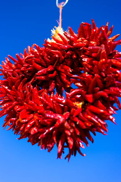 santa fe stil: herz-förmigerote ristra kranz, blauer himmel hintergrund - wreath chili pepper pepper ristra stock-fotos und bilder