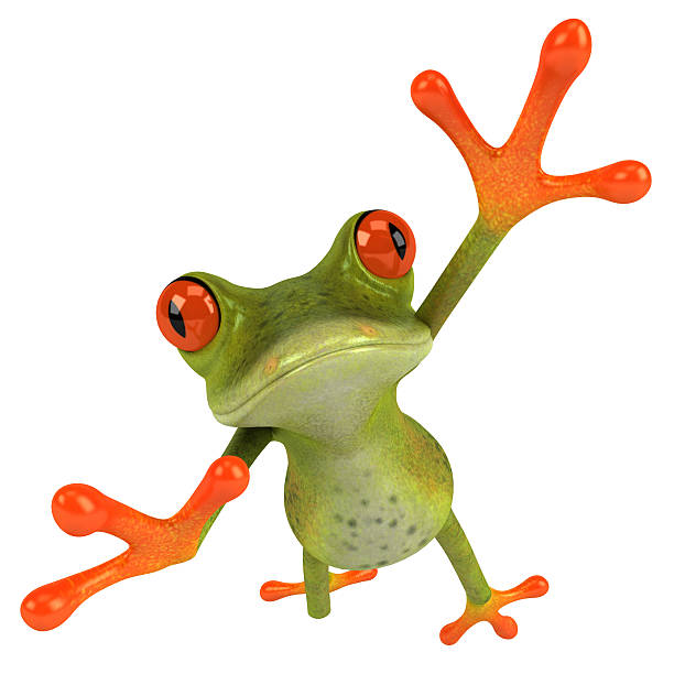 Jumping frog stock photo