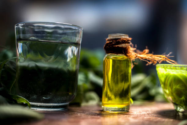 haarmittel von allzweck-ayurveda-heilkraut, d.h. neem oder nim oder indischer flieder in einer glasschüssel zusammen mit neem-blättern, süßwasser- & teebaumöl für schuppen oder haarhaut juckreiz probleme. - herbal medicine herb leaf india stock-fotos und bilder