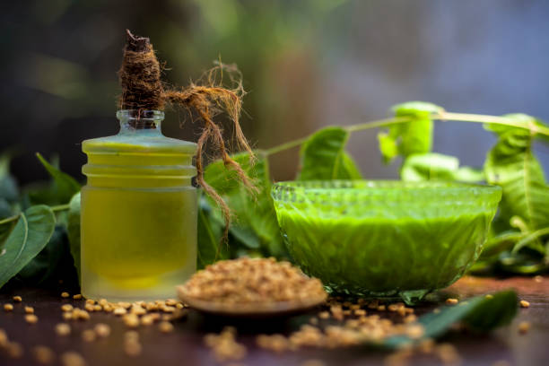 All scalp related problems solution lotion or shampoo in a glass bowl consisting of some neem leaves, fenugreek seeds and olive oil. Shot of fresh leaves of Neem tree,fenugreek seeds,pack,& olive oil. todos los problemas relacionados con el cuero cabelludo solución loción o champú en un tazón de vidrio que consiste en algunas hojas de neem, semillas de alholva y aceite de oliva. disparo de hojas frescas de árbol de neem, semillas de alholva,paquete