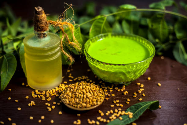 istock All scalp related problems solution lotion or shampoo in a glass bowl consisting of some neem leaves, fenugreek seeds and olive oil. Shot of fresh leaves of Neem tree,fenugreek seeds,pack,& olive oil. 1186197571