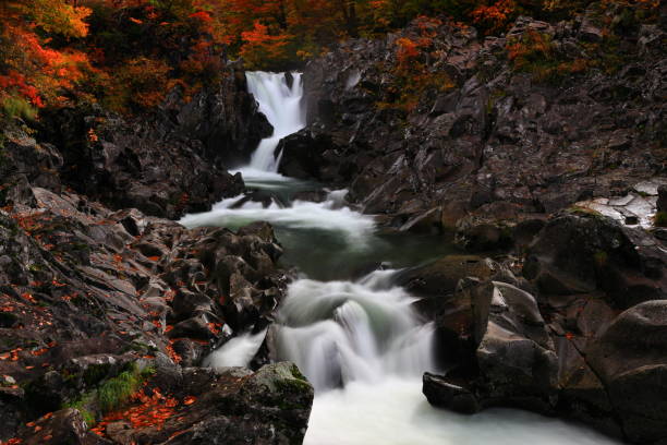 istock Autumn leaves waterfall in Akita Prefecture 1186200627
