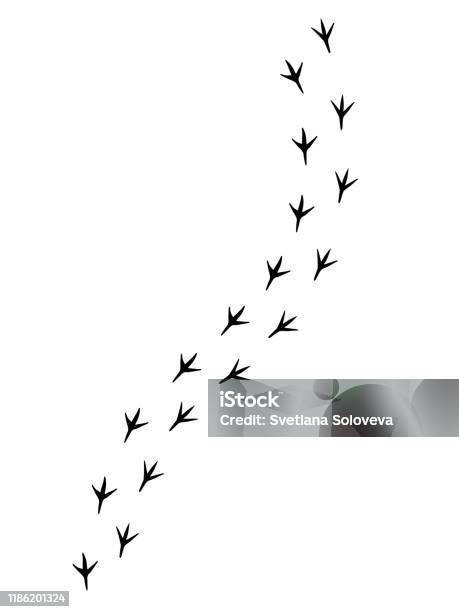Vector Black Bird Paw Steps Road Stock Illustration - Download Image Now - Bird, Chicken - Bird, Track - Imprint
