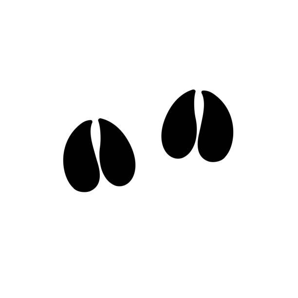 illustrazioni stock, clip art, cartoni animati e icone di tendenza di icona vettoriale del logo nero piatto dei gradini di stampa del piede di capra di mucca di pecora silhouette - wild goat