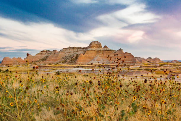 south dakota badlands landschaft - national grassland stock-fotos und bilder