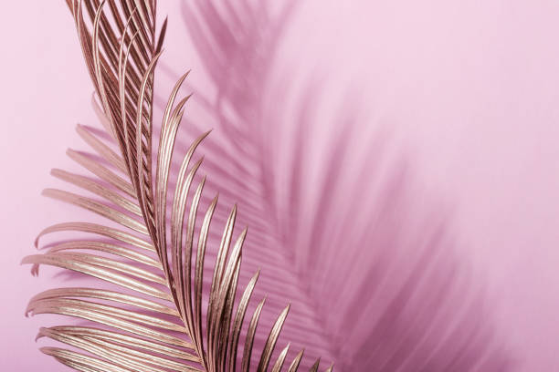 istock Painted Golden tropical leaves on pink pastel background. Natural Creative layout 1186211199