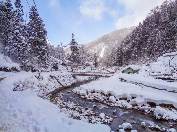 istock walk way to snow monkey park on winter in Japan 1186213575