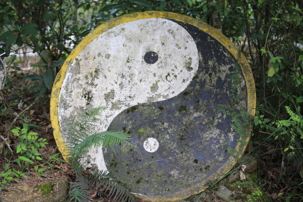 中国文化における太極地シンボル陰陽 - yin yang symbol 写真 ストックフォトと画像