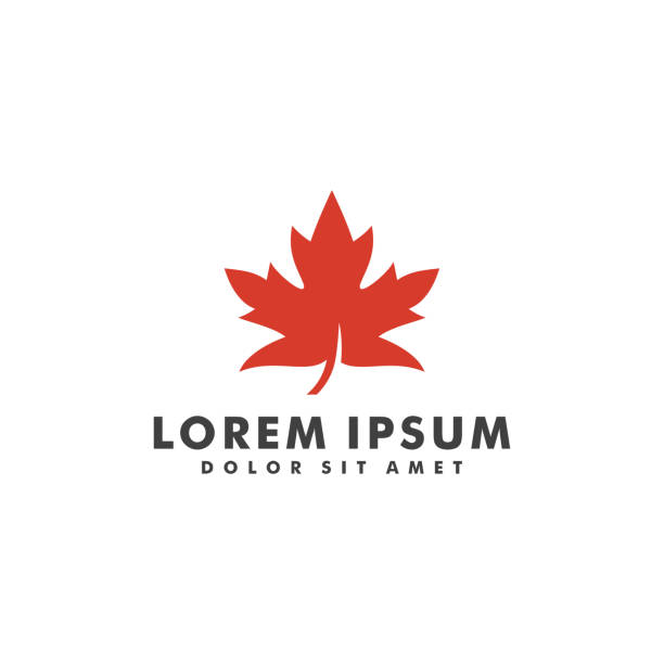 illustrations, cliparts, dessins animés et icônes de modèle d'illustration de vecteur de conception de logotype de feuille d'érable - canadian culture leaf symbol nature